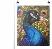 23319344_1009492335855332_9128225556629794062_n (2)