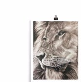 23319504_1009492332521999_420124405565095771_n (1)