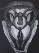 20170914-094210-Burst01